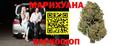 гидра Камышлов